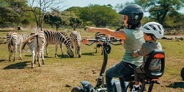 Safari eco rider casela nature parks (3)